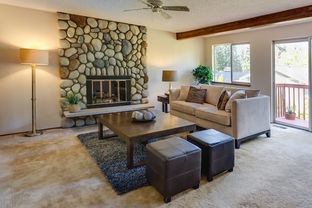 design of the room with lots of cozy things